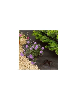 Toile De Paillage 1m X 15 M -Extérieur Meubles Magasin toile de paillage 1m x 15 m 2