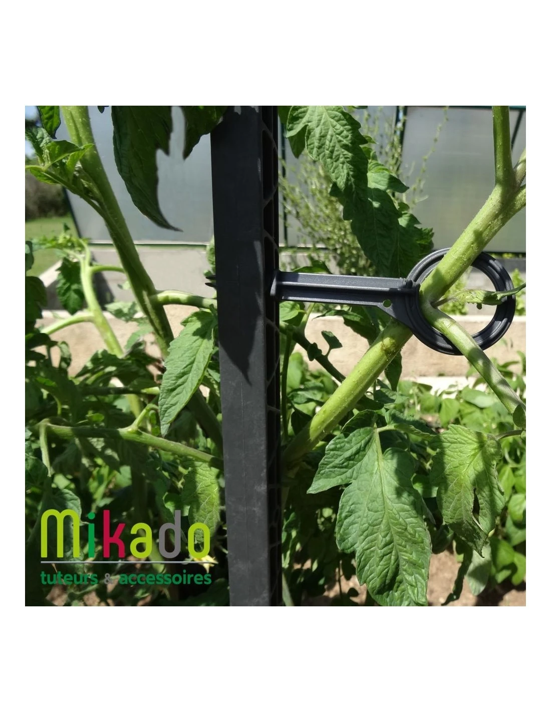Tuteur à Tomate MIKADO 180 Cm - Vert 3 Tuteur à Tomate MIKADO 180 Cm - Vert – Image 3